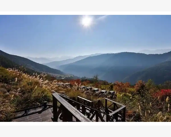 凝聚中医智慧，扁方化痰止咳，呵护健康呼吸之路